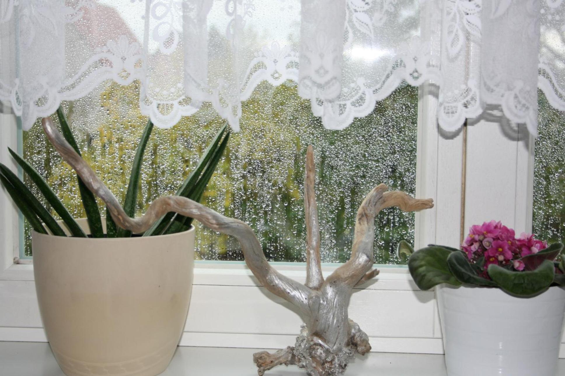 Ferien Oase Am Ber Apartman Schönefeld Kültér fotó