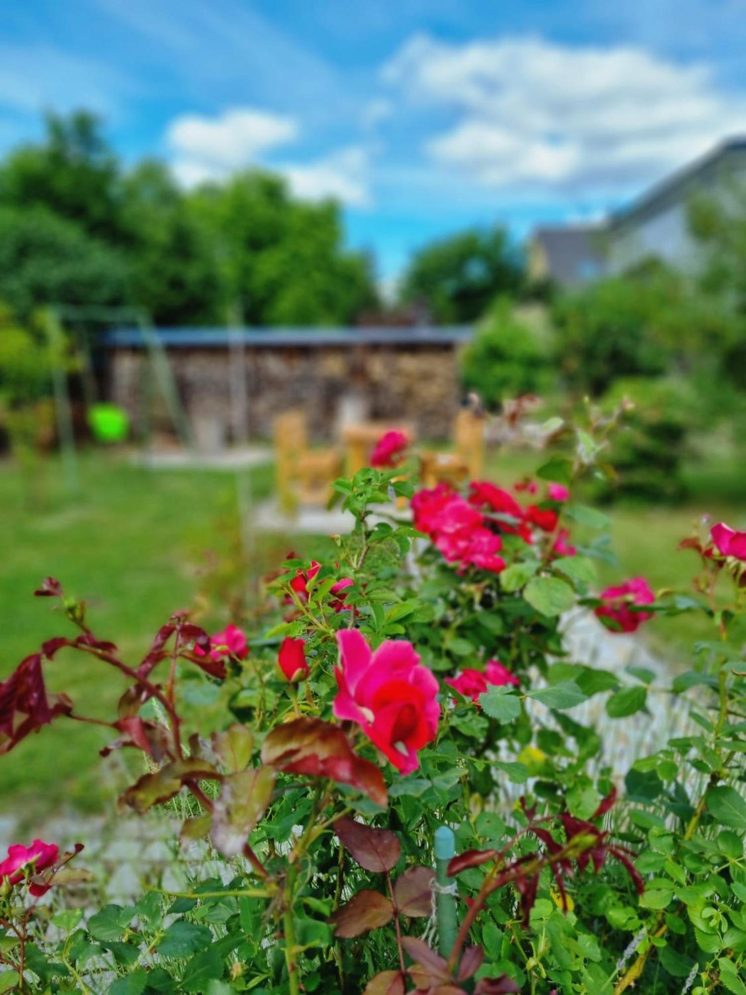 Ferien Oase Am Ber Apartman Schönefeld Kültér fotó